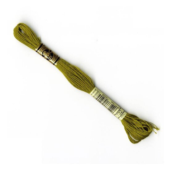 DMC Green Mouline Special 25 Cotton Thread 8m (732)