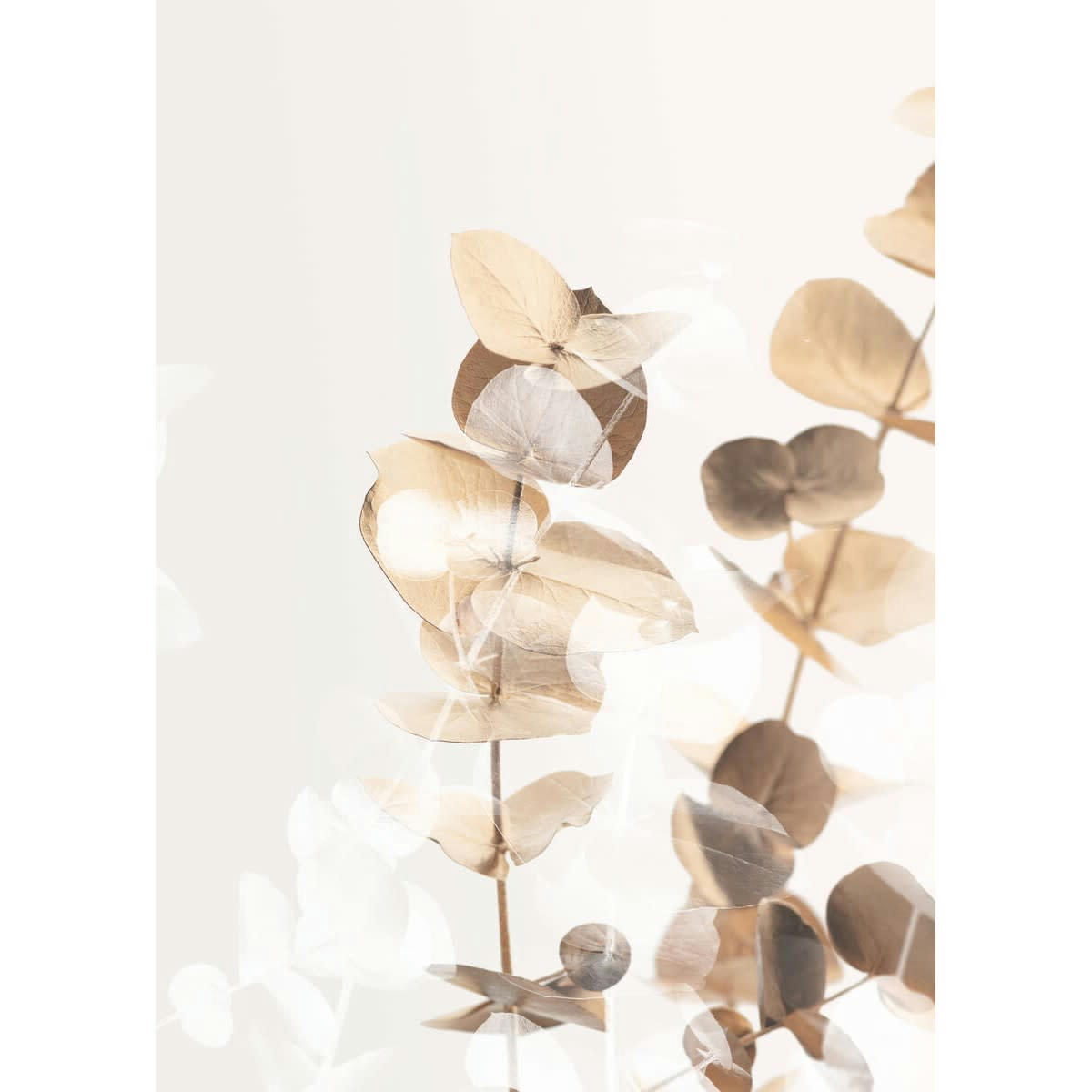 FLEUR - Tableau sur verre charme clair 30x45 cm