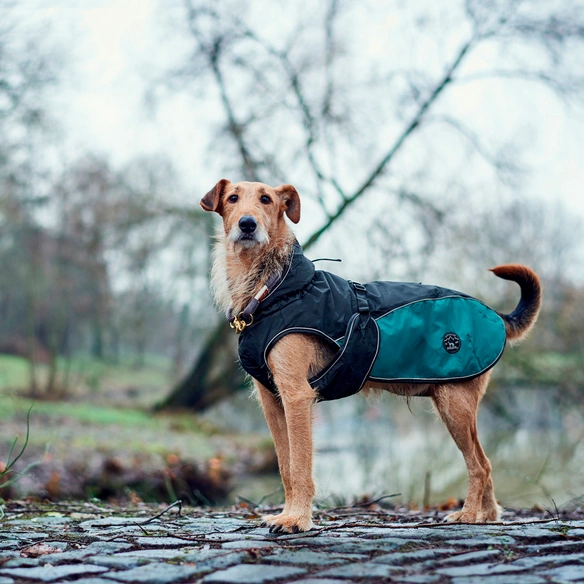 Hundemantel »Uppsala«, Hundemantel Uppsala Allrounder 40, anthrazit/petrol