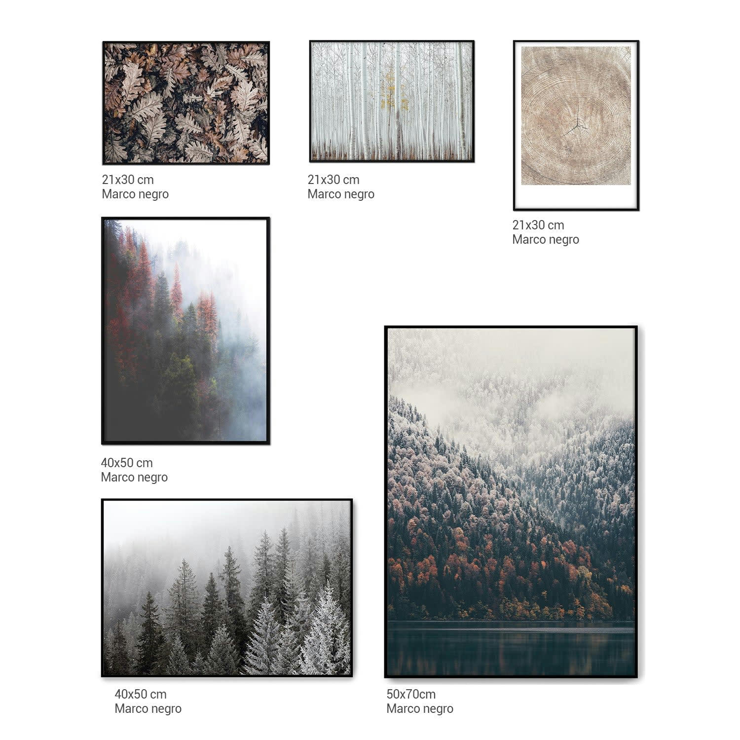 DÉCORATION MURALE - Décoration murale avec cadre en noir - Nature