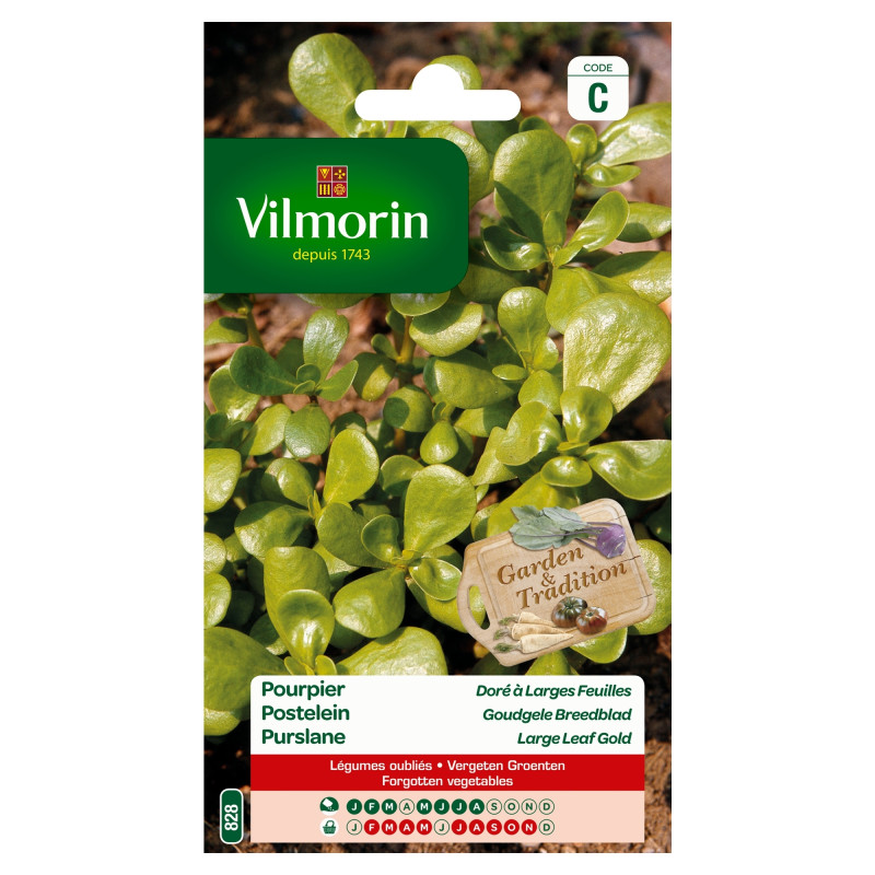Semences de pourpier doré à larges feuilles VILMORIN