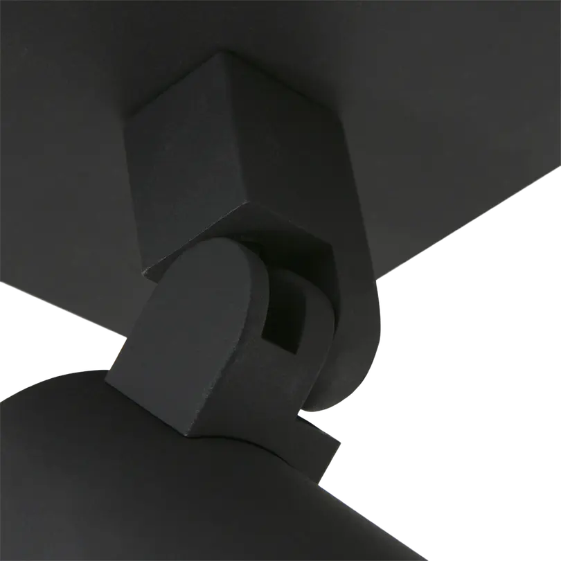 Spot Noirs