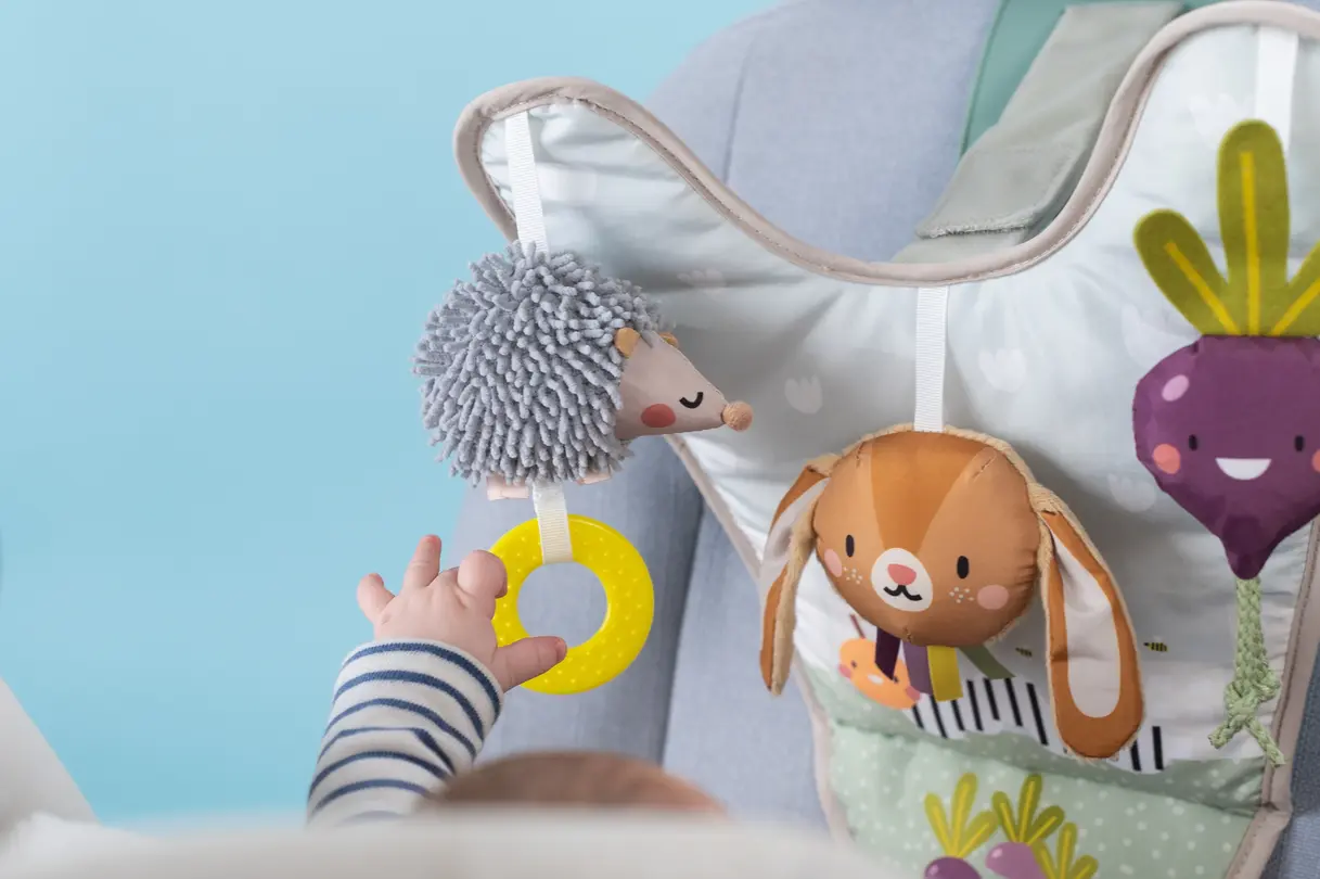 Spielzeug Taf Toys