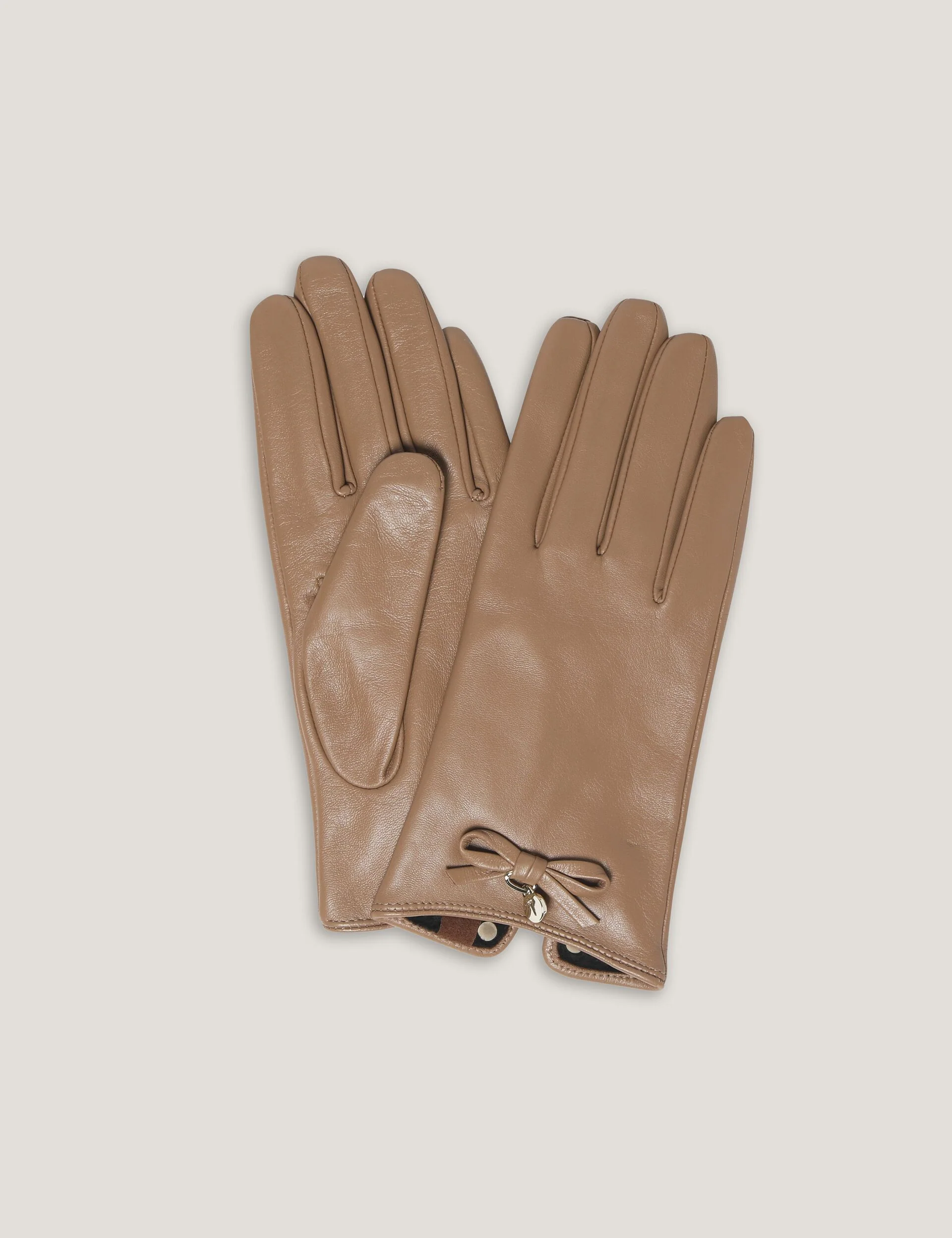 SHERYYS | CAMEL
