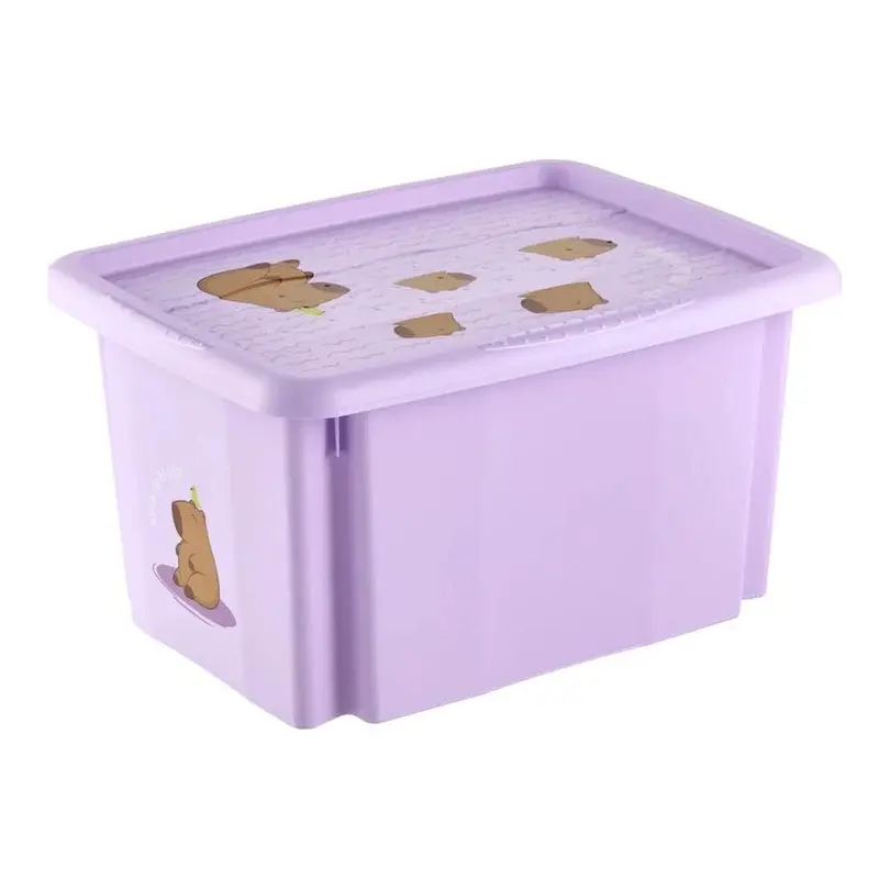 Aufbewahrungsbox Karolina