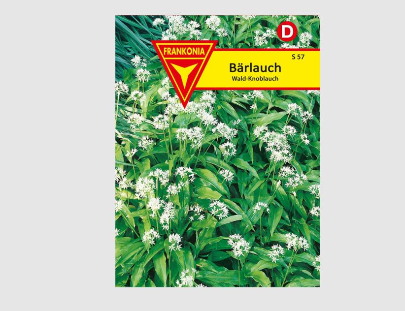 Bärlauch