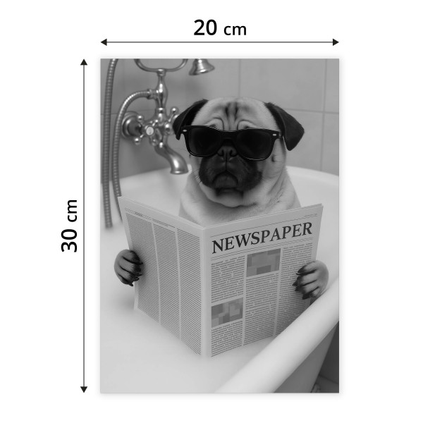 Plakat Mops we wannie 20x30cm