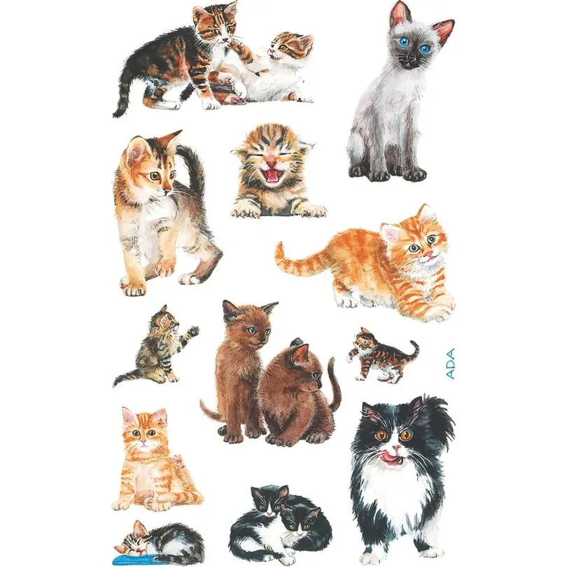 Sticker 3er-Set Stickers