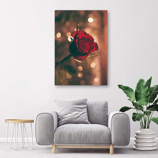 Feeby Obraz Czerwony kwiat róży 40x60