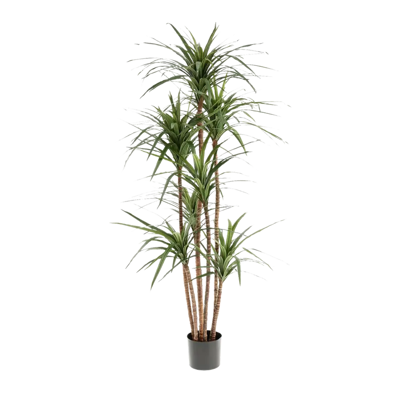 Kunstpflanze Draceana