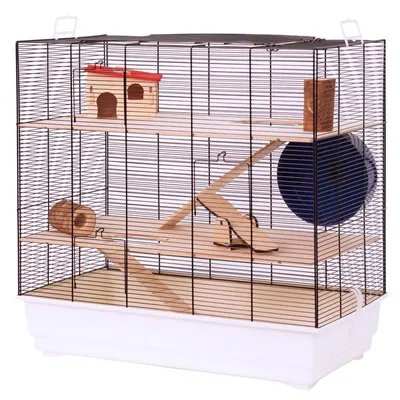 Skyline Fun Area Leon Small Pet Home