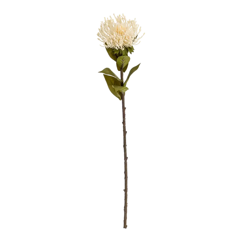 Kunstblume Protea