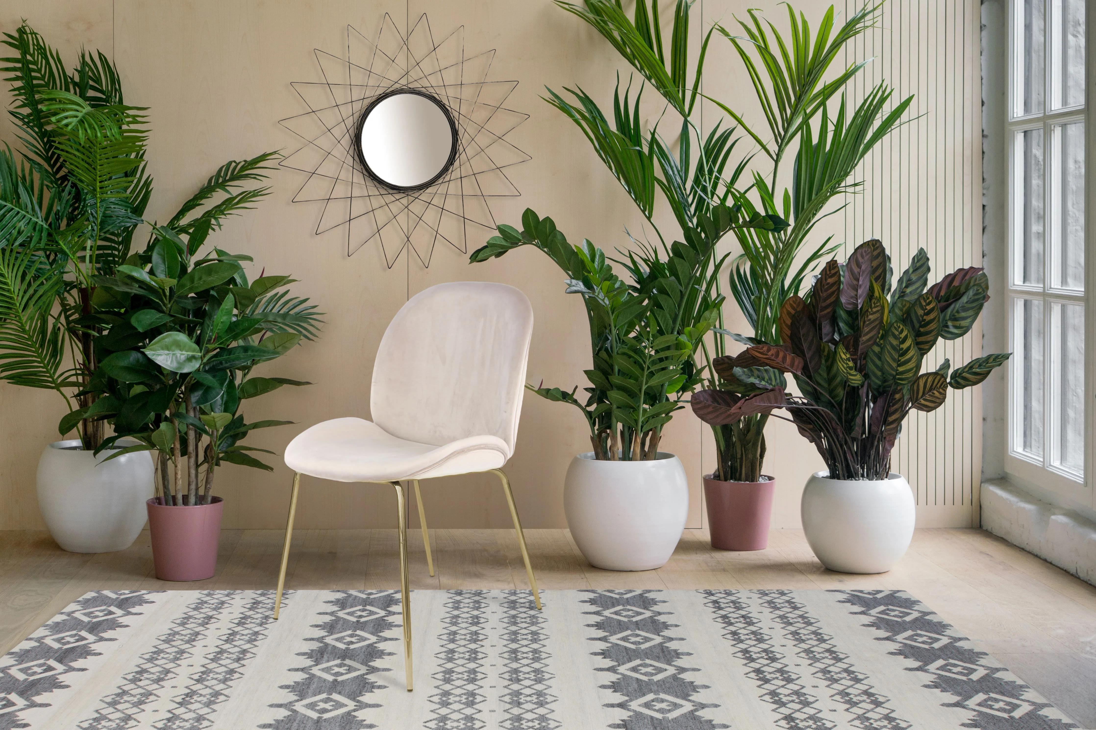 Set van 2 eetkamerstoelen Charlie velvet