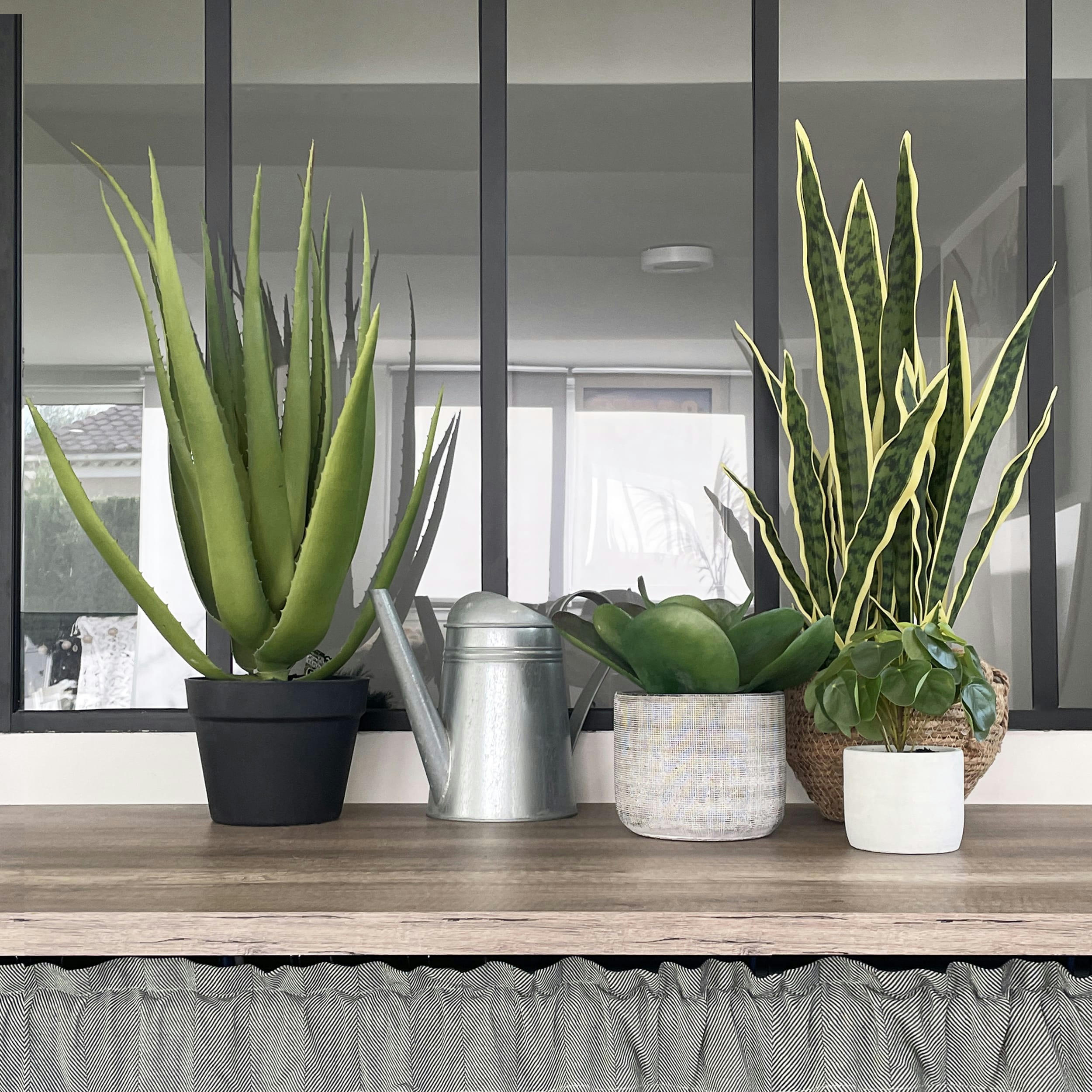 - Pilea artificiel pot effet ciment 23cm