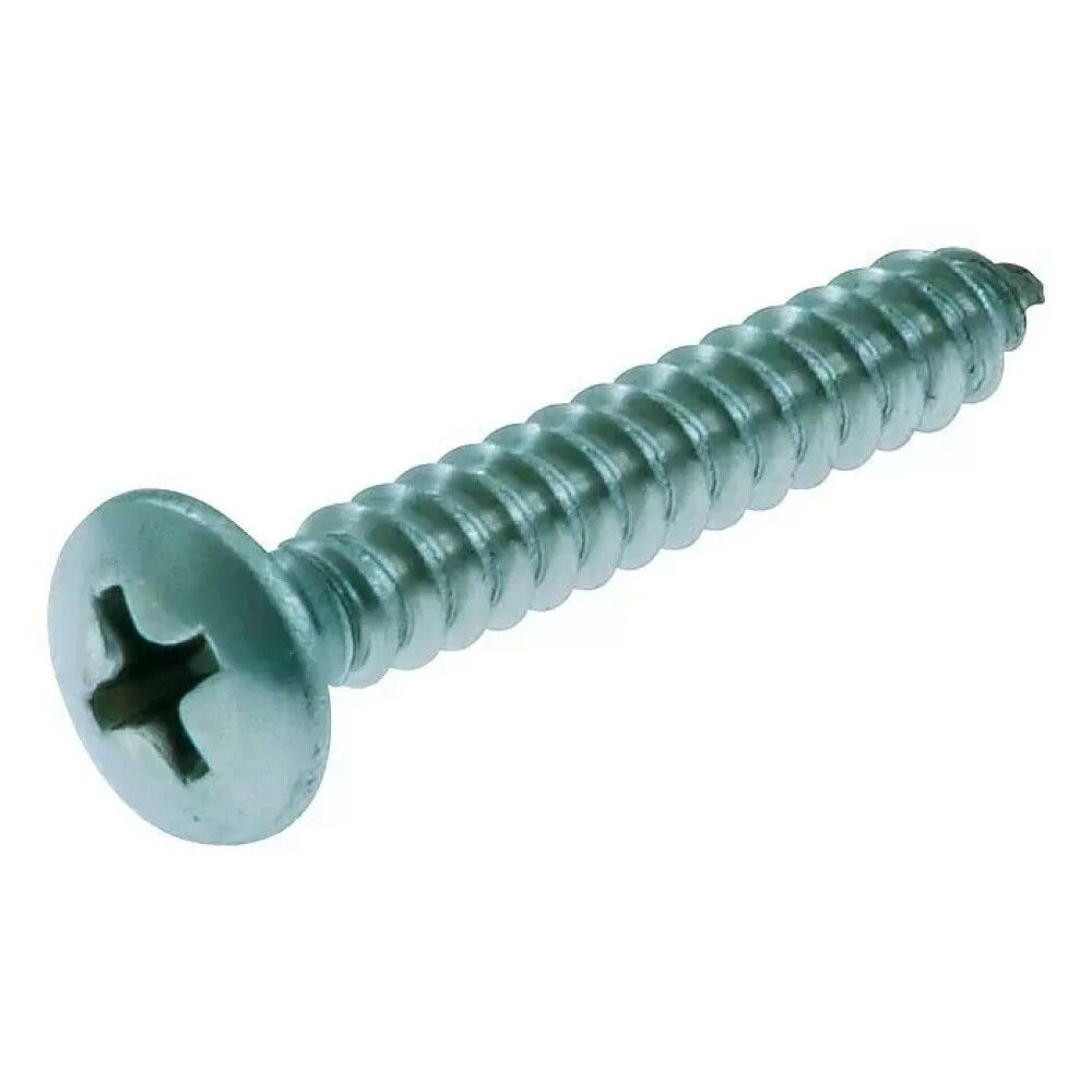 PLATESKRUE STABILIT RUSTFRITT STÅL 2,9X19MM 20 STK