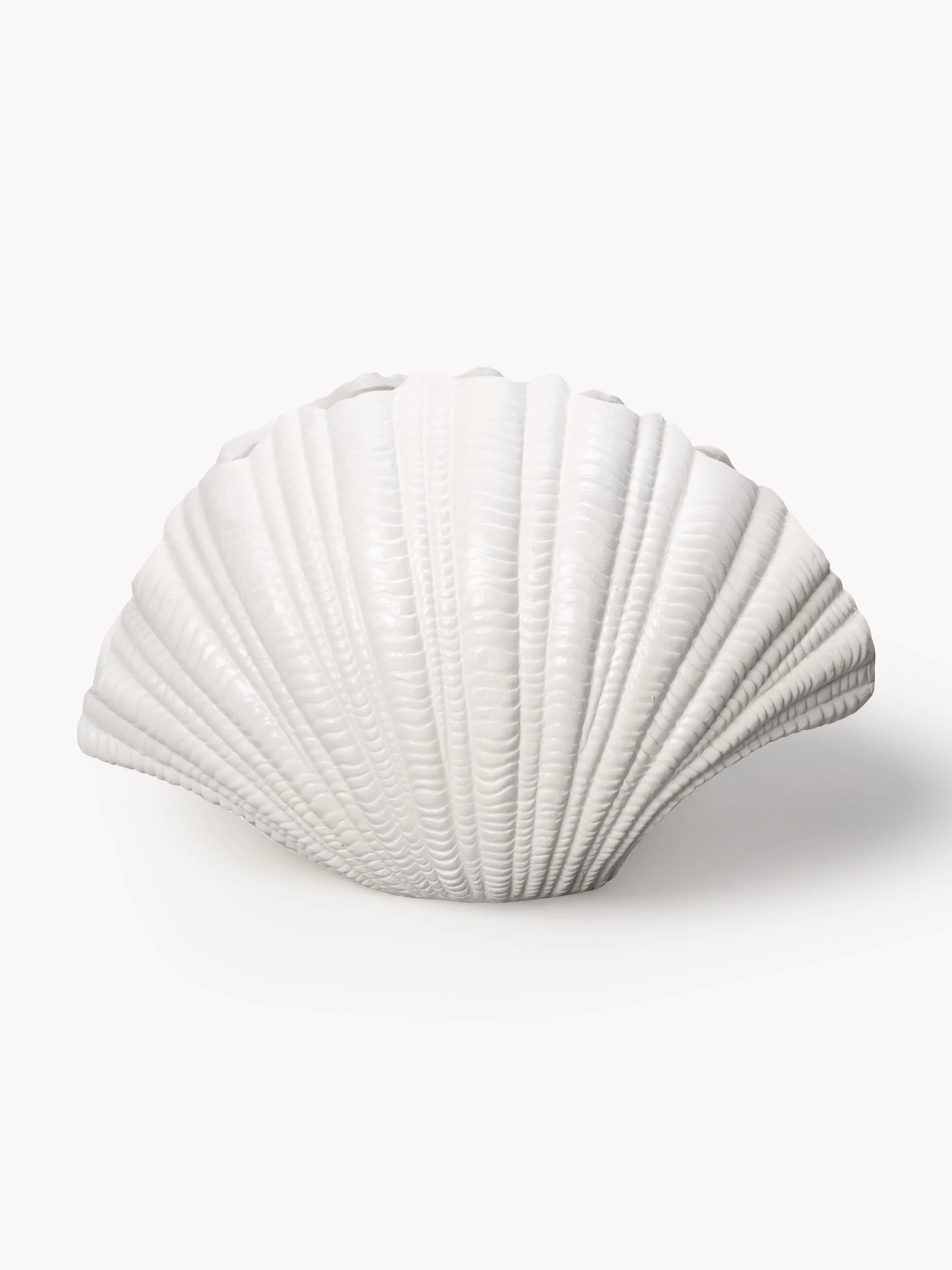 Vase Shell, H 21 cm