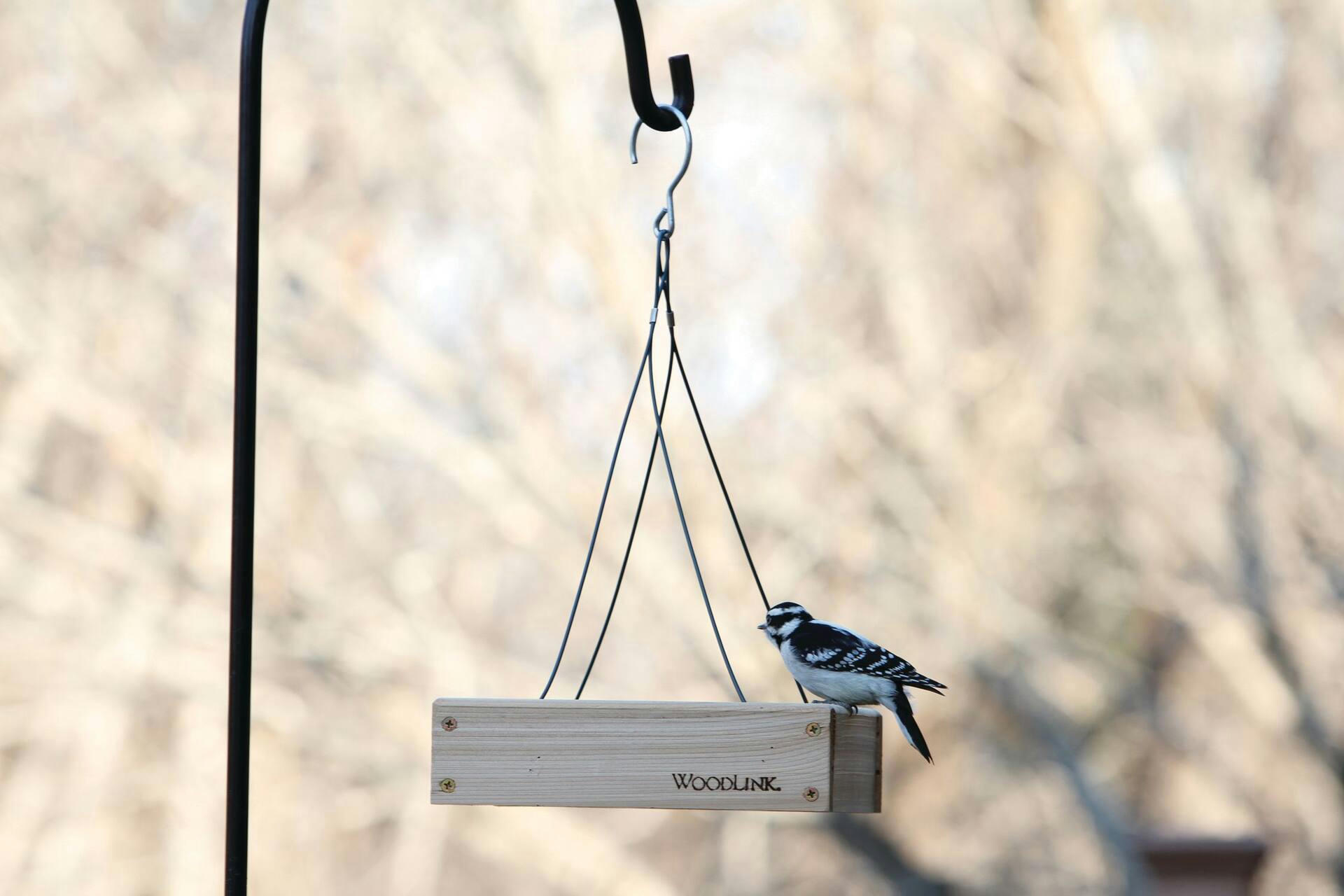 Cedar Platform Bird Feeder