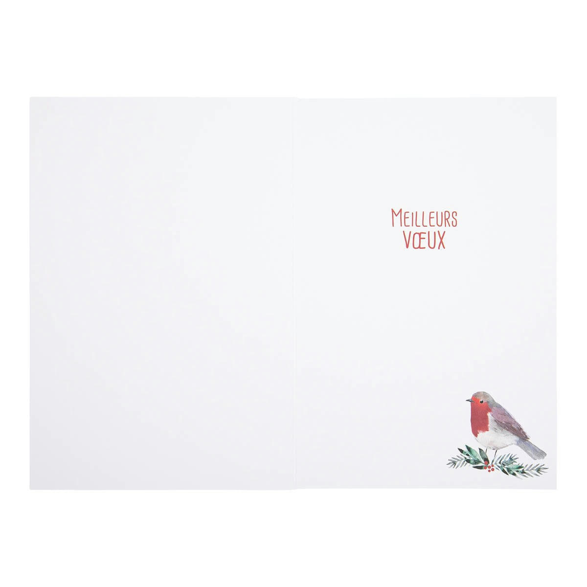 - Carte De Vœux Rouge Gorge Année