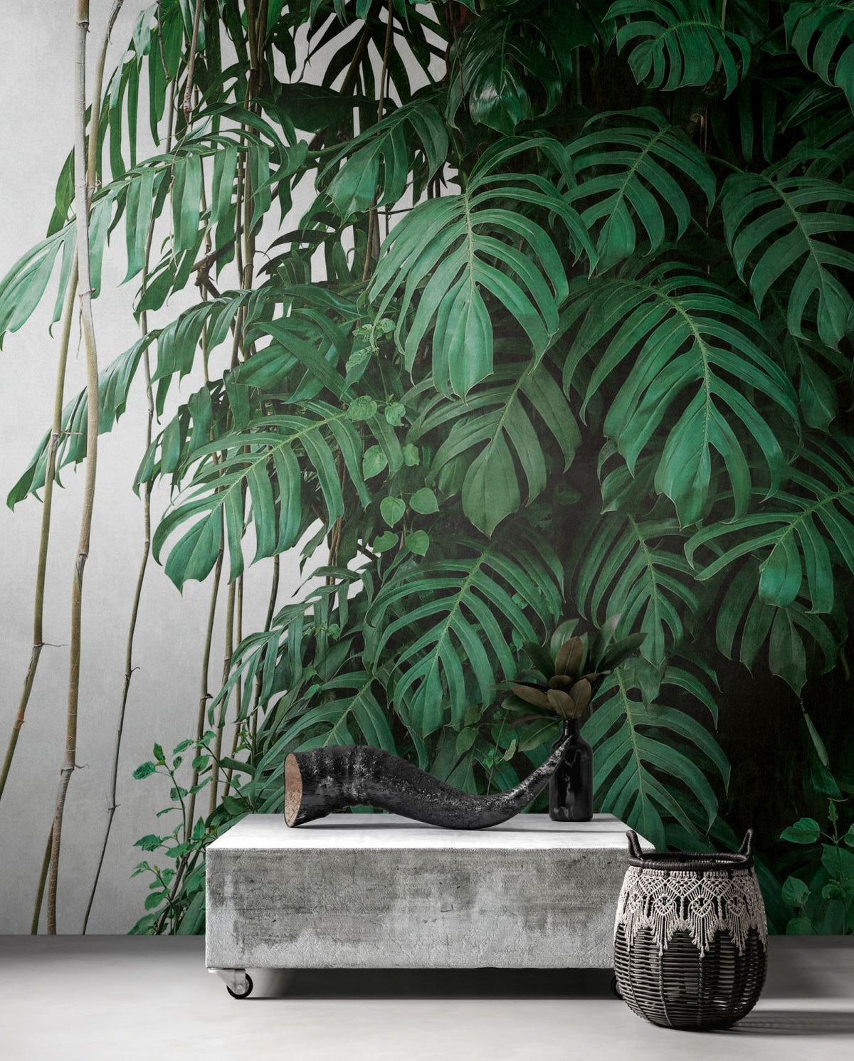 One Wall one Role fotobehang jungle-motief groen en grijs - 371 x 280 cm - AS-382411