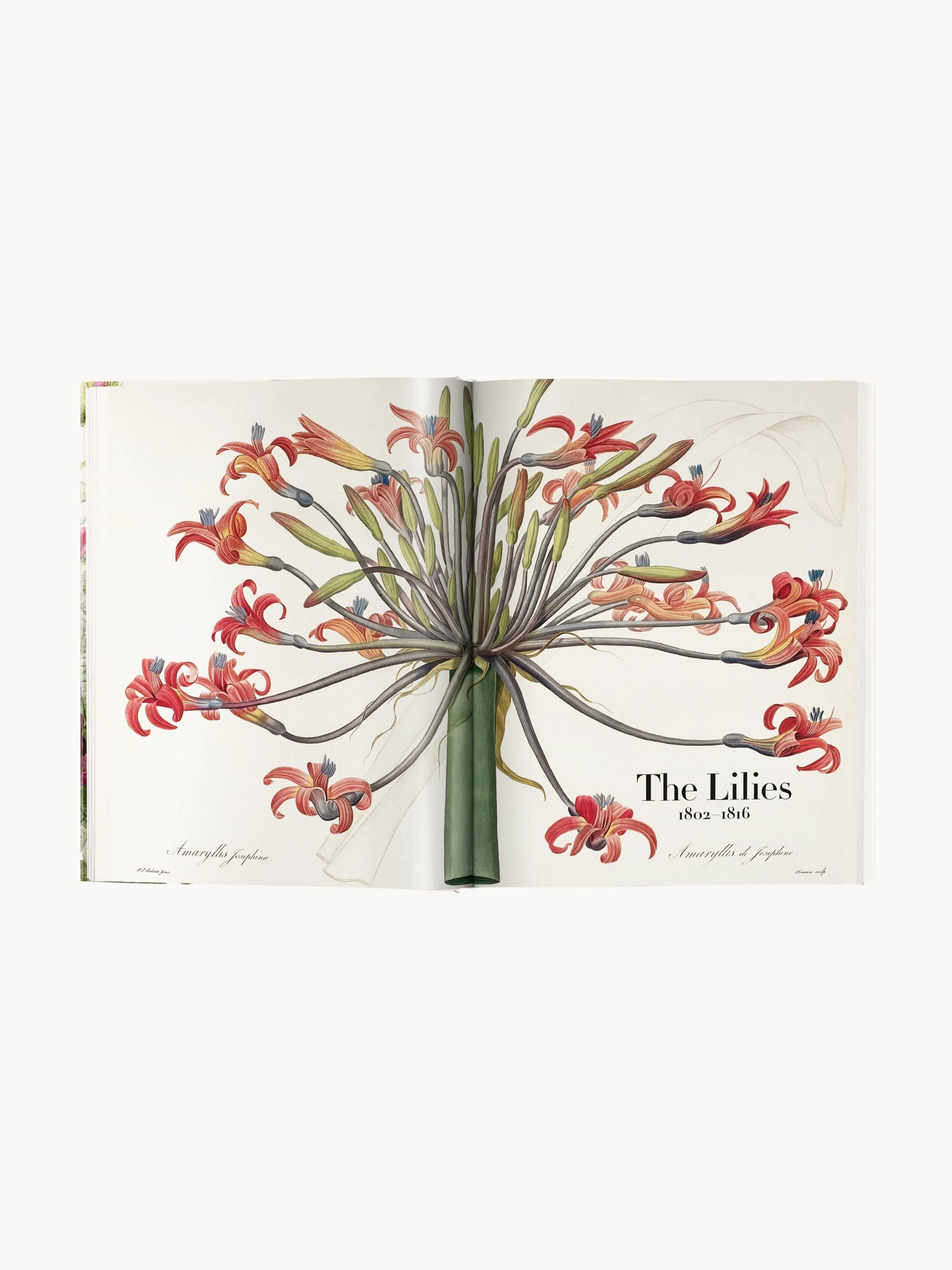 Bildband Book of Flowers