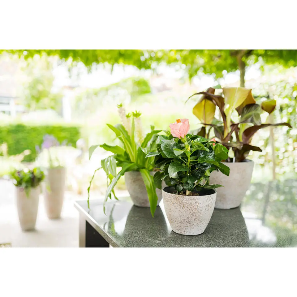 Ter Steege Bloempot/plantenpot - buiten - beige/goud - D13/H12 cm