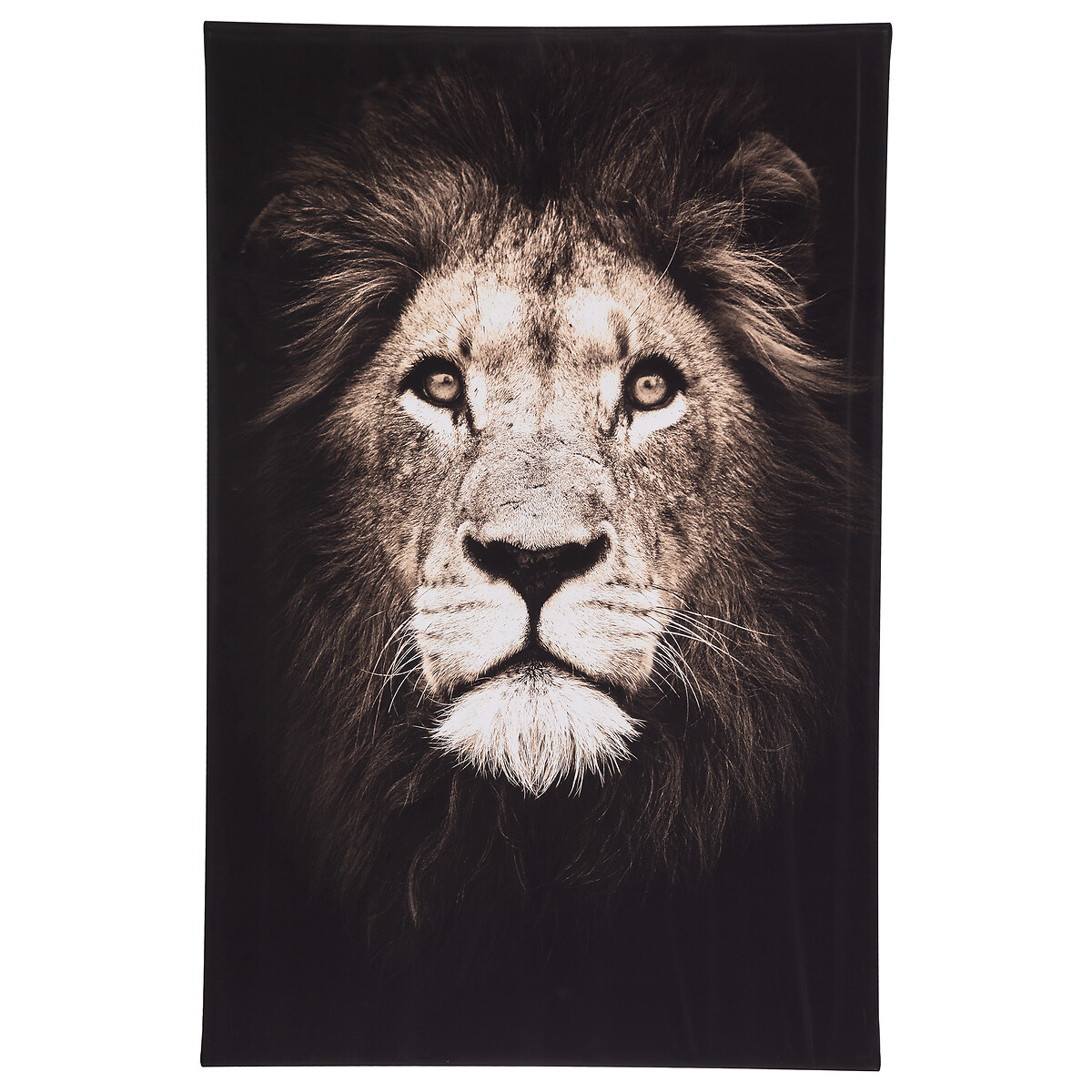 Framed canvas"Animaux" 75x115 cm