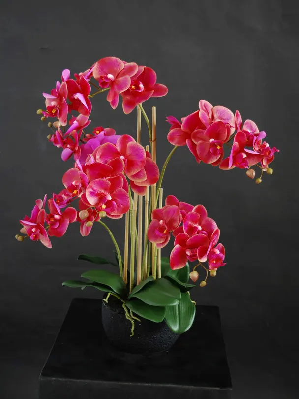 Kunstpflanze Phalaenopsis