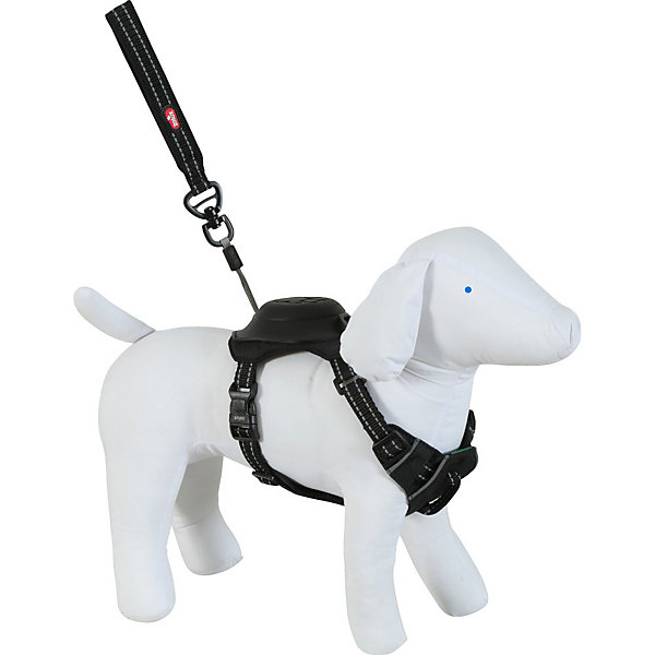Harnais et laisse enrouleur intégré S noir pour petit chien max 12 kg