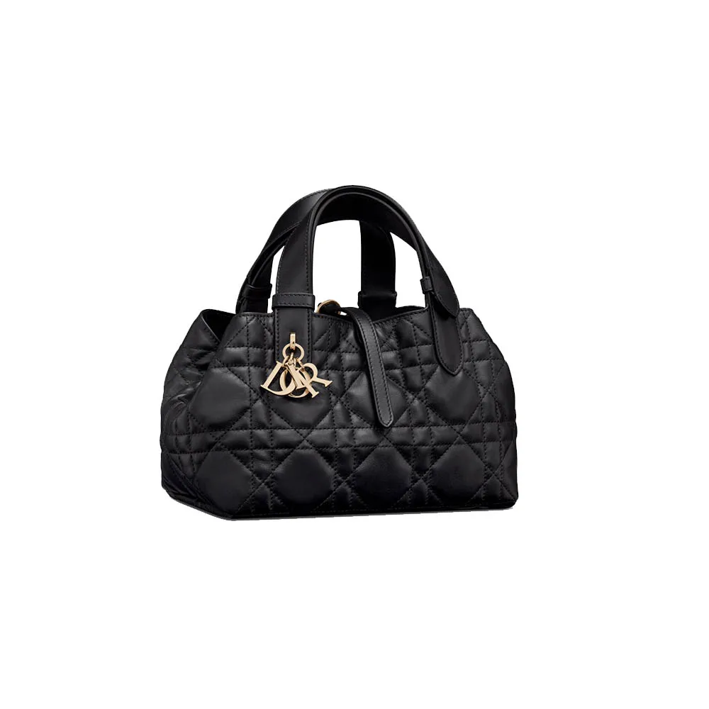 Dior Toujours Small Cowhide
