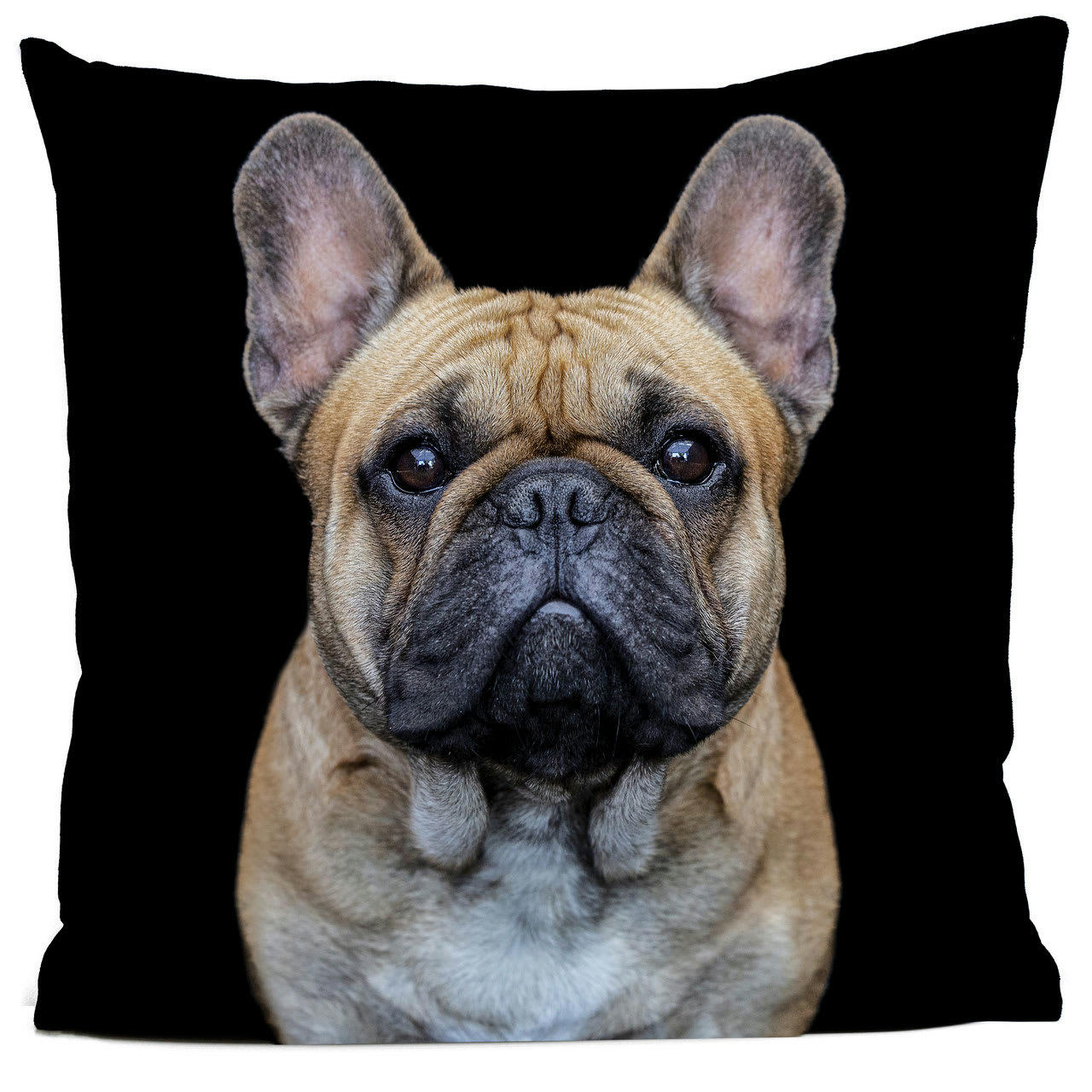 - Coussin chien bouledogue suédine noir 40x40cm
