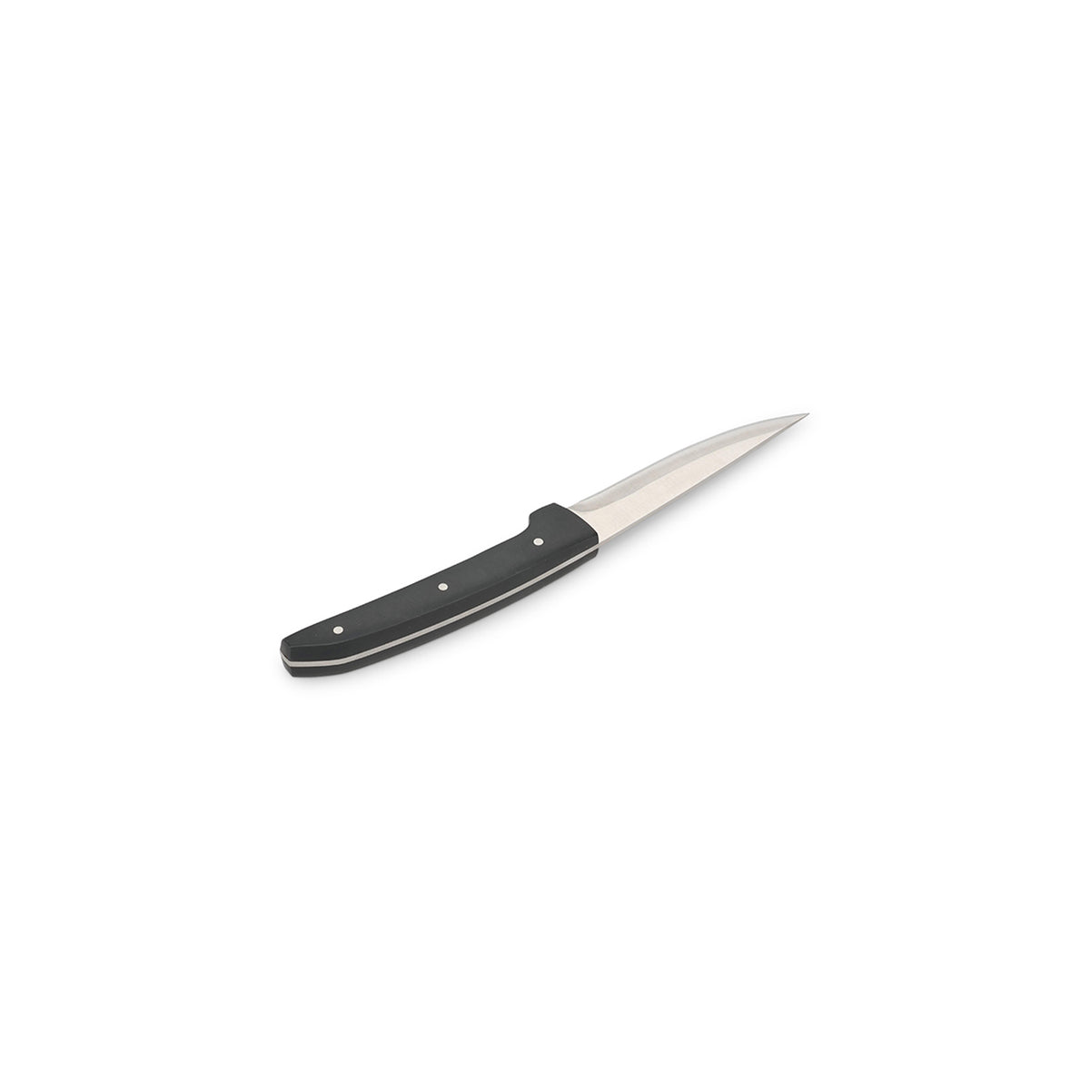 Bonbistro - Steakmes 23cm satin Carne - Set van 4