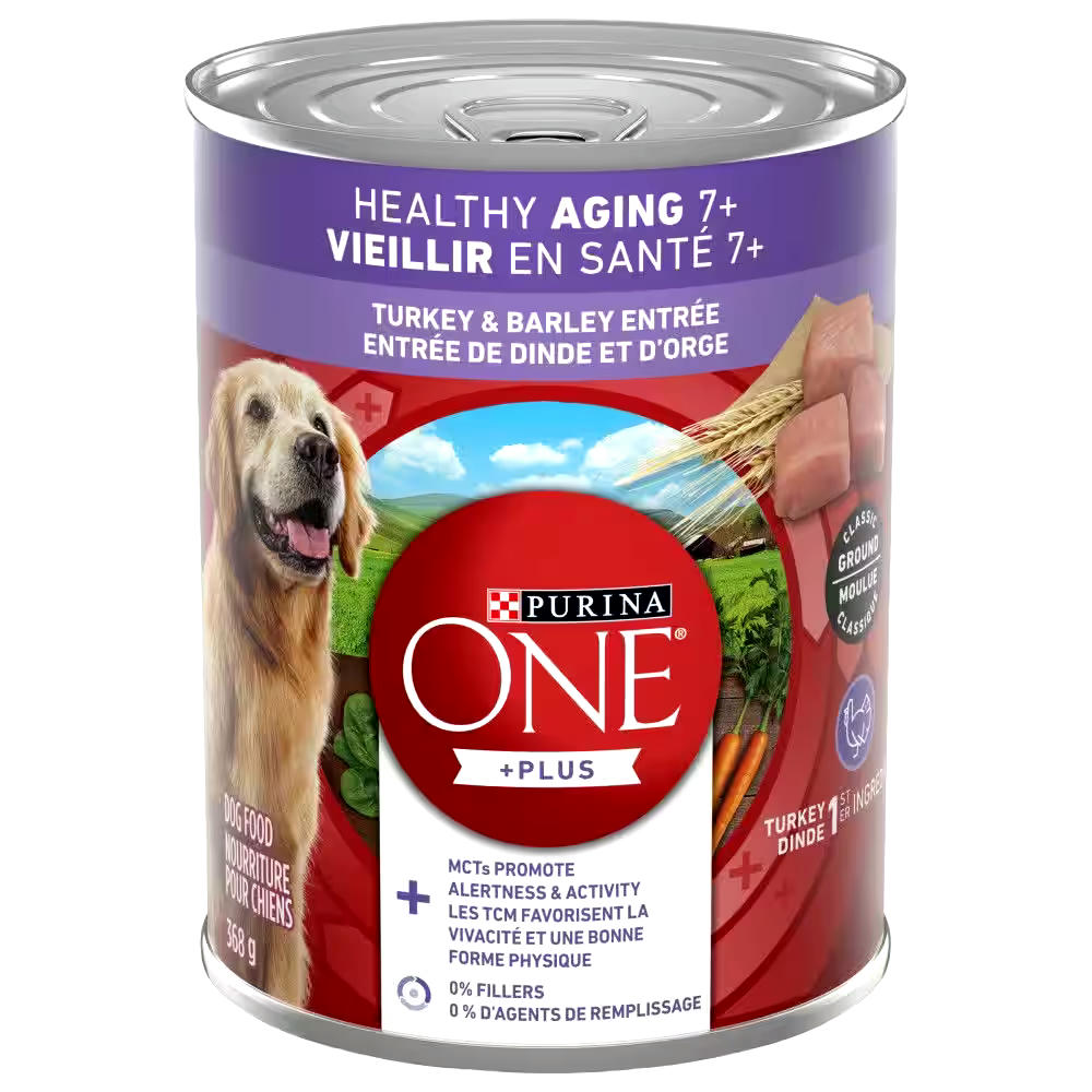 Purina ONE +Plus Classic Ground Healthy Aging 7+ Turkey & Barley Entrée Wet Dog Food for Senior Dogs, 368