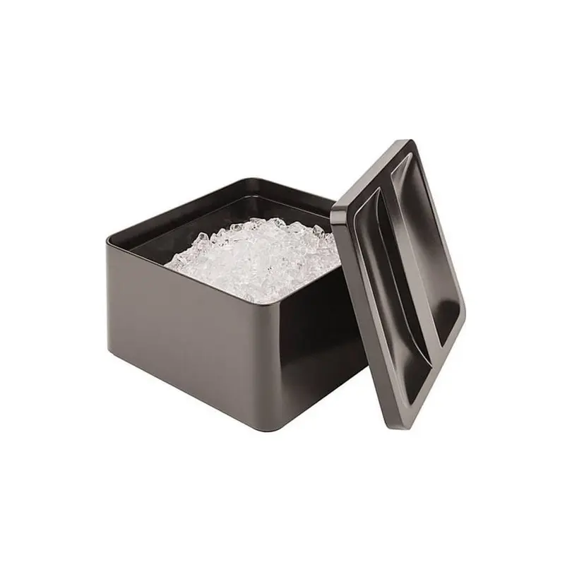 Behälter Eisbox