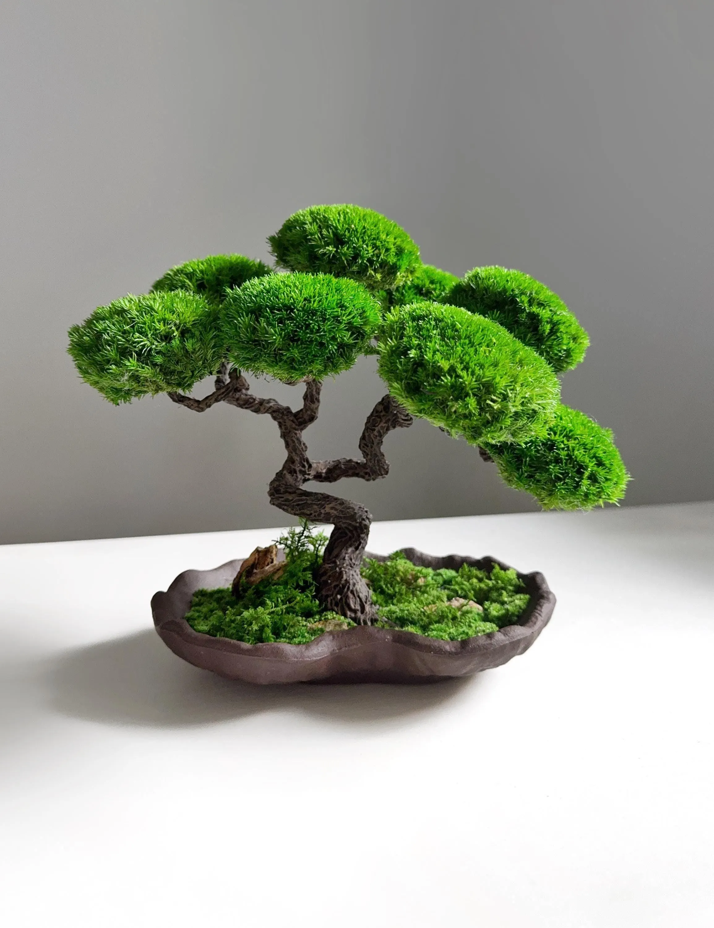 Handmade Lucky Tree, Minimalist Zen Bonsai | Stabilized Plants, Preserved Moss | Ceramic Base, 25 Cm Height