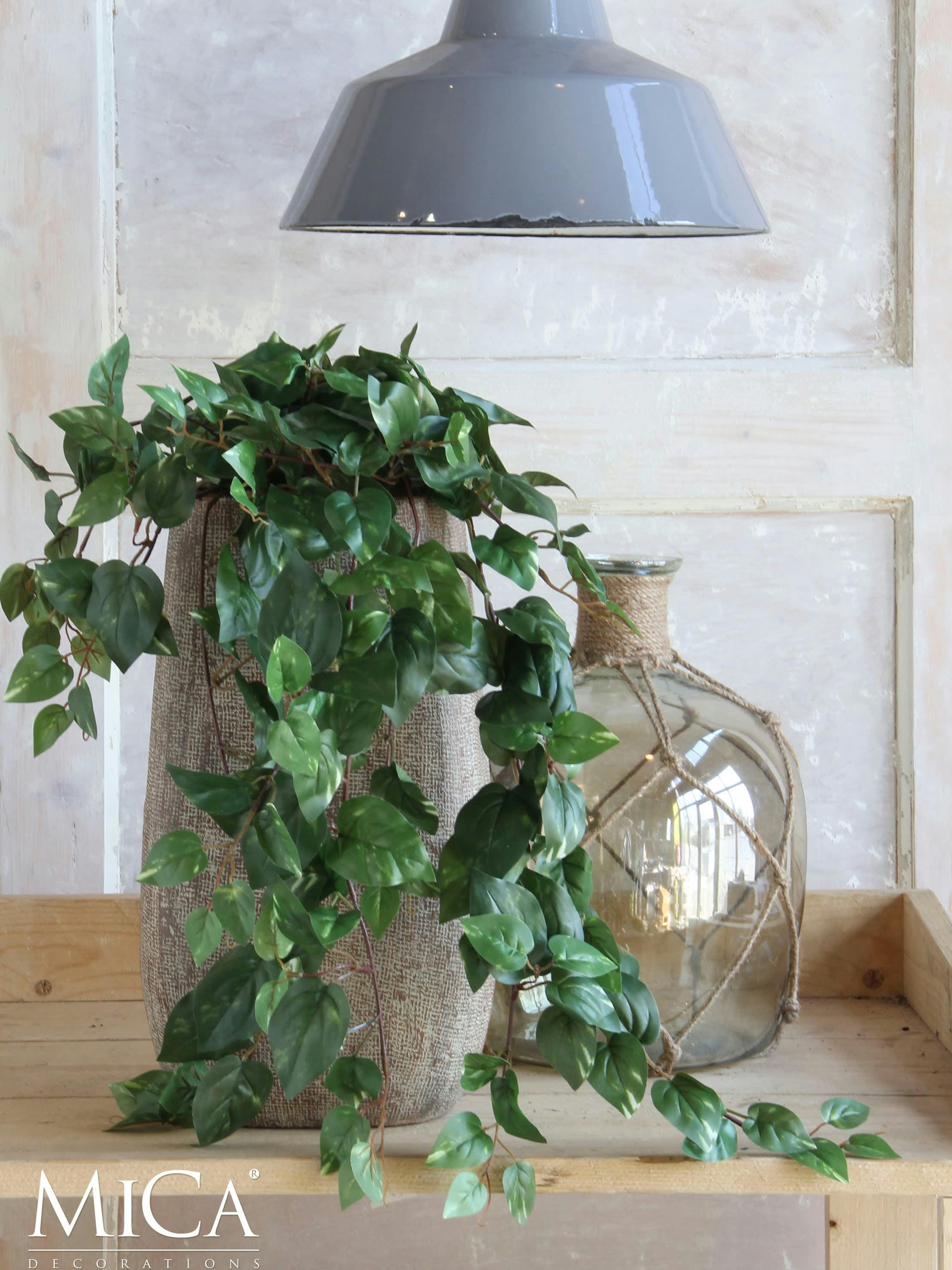 - Scindapsus artificielle suspendu H80