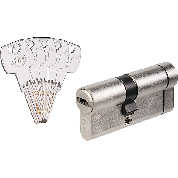 Cylindre 2 entrées F6S  sécable varié nickelé - 30 x 30 mm - Ifam