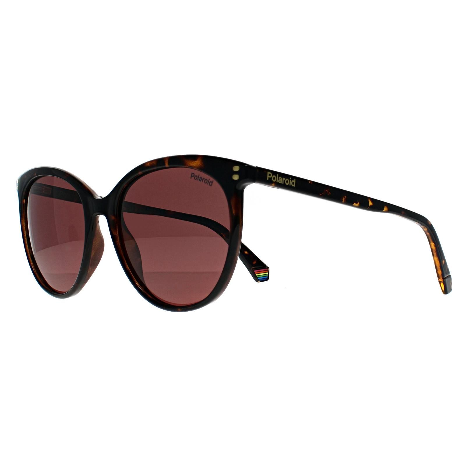 Polaroid Cat Eye Havana Violet Polarized PLD 6231/S