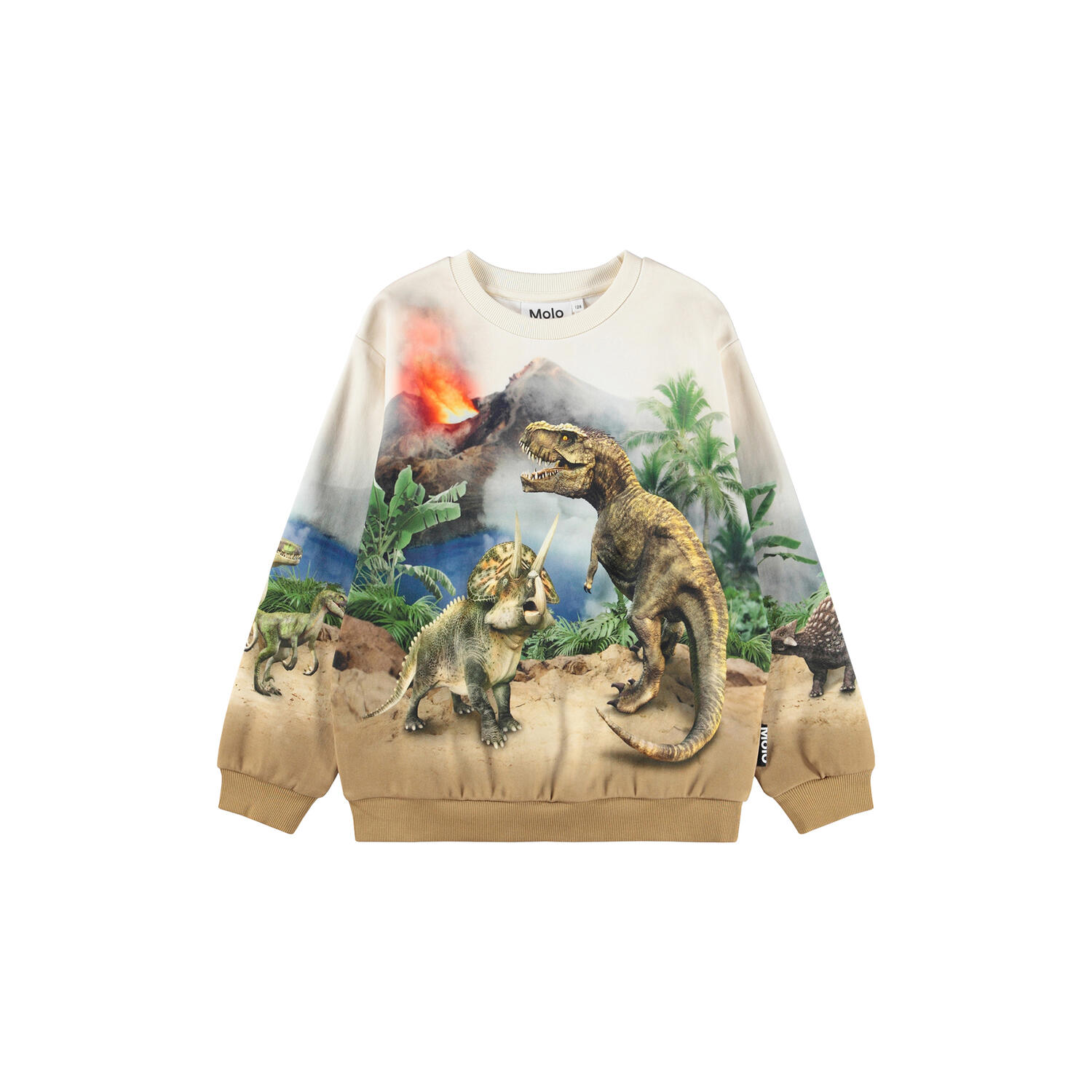 Miksi sweater, hot spring dinos