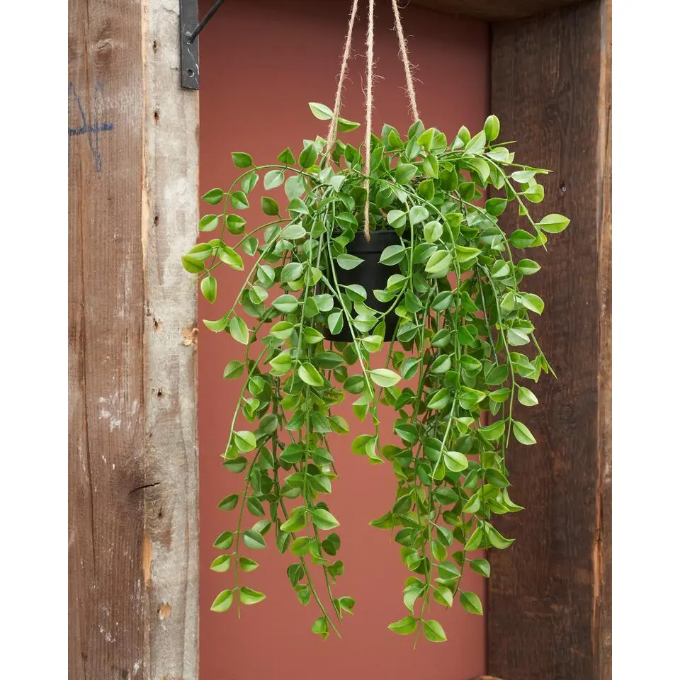 Mica Decorations Ficus Kunst Hangplant - H81 cm - Groen