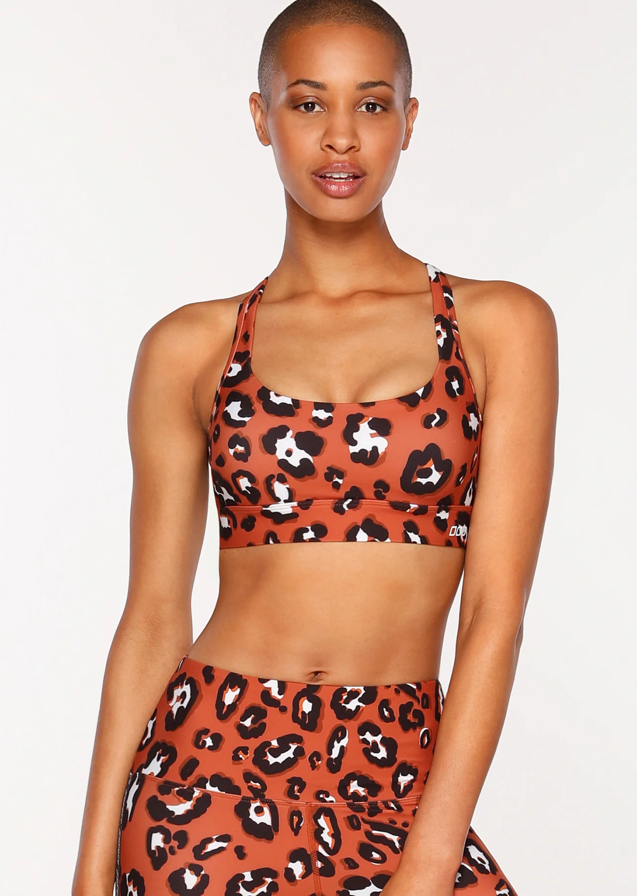 Wildcat Compact Sports Bra