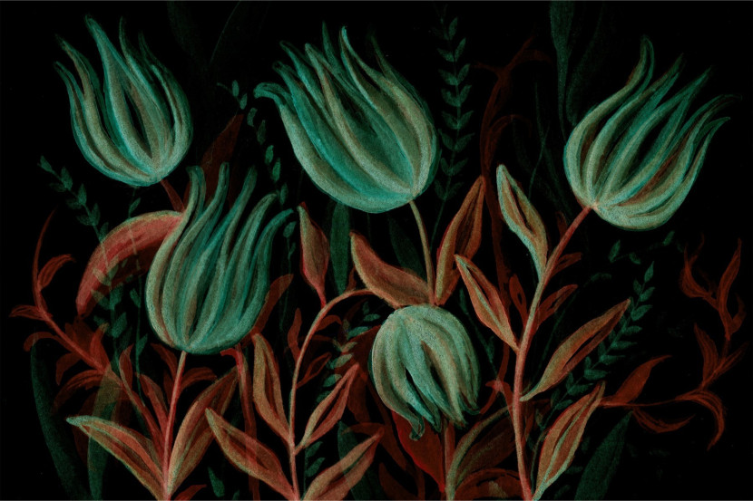 Fototapeta Abstrakcyjne Tulipany 90x60cm