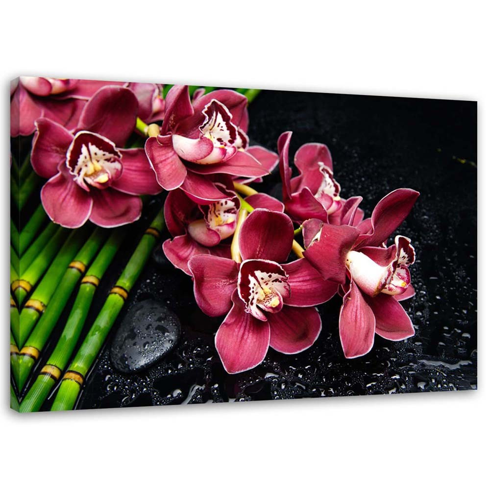 Feeby Obraz na płótnie Orchidea na bambusie 60x40