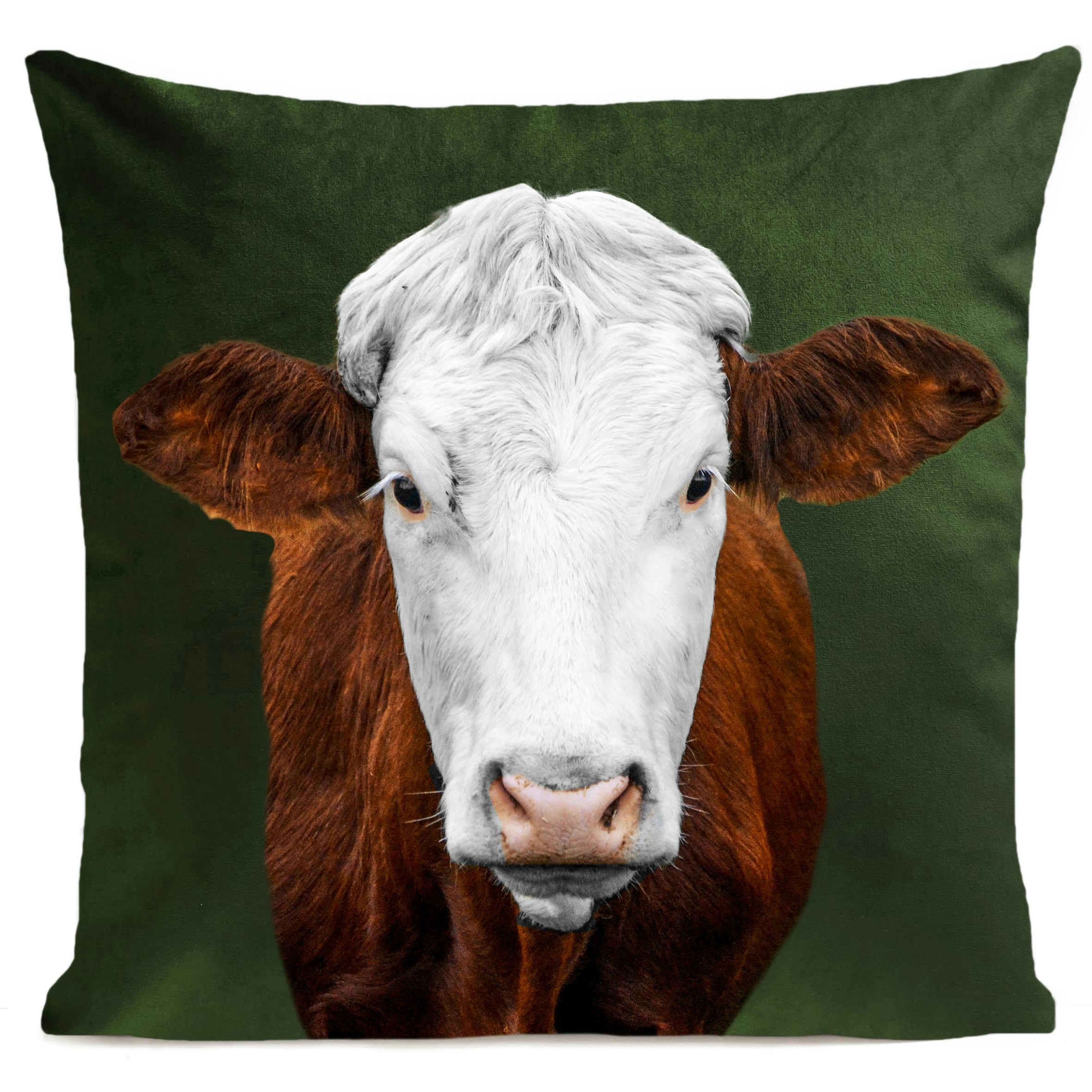 - Coussin campagne vache suédine vert 40x40cm