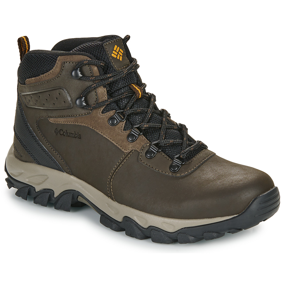 Columbia - NEWTON RIDGE PLUS II WATERPROOF - Brown