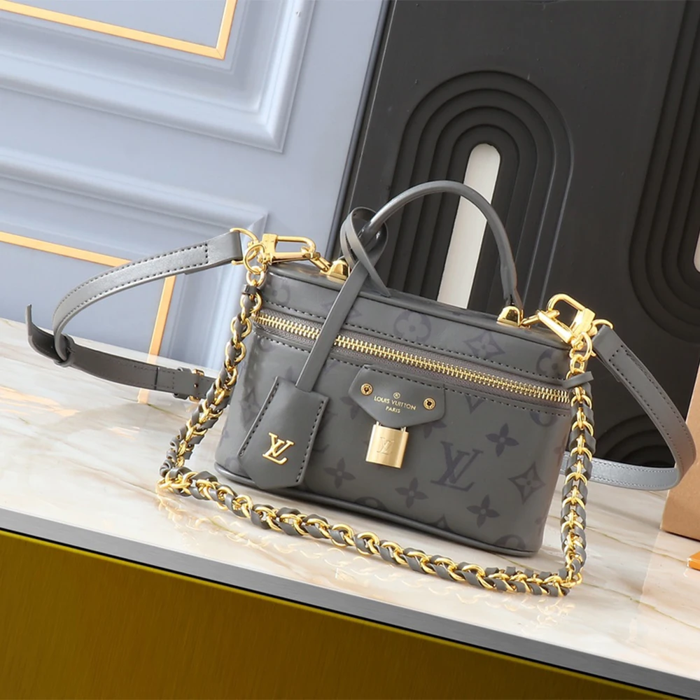 Louis Vuitton Vanity Pouch Bag