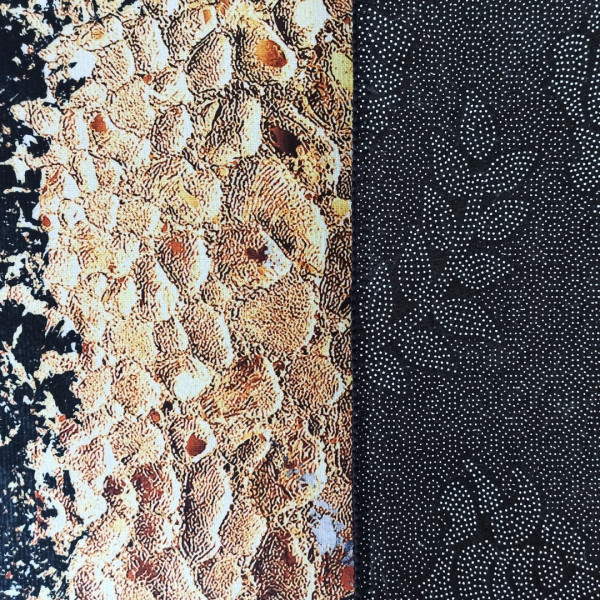 Dywan BLACK and GOLD N 13 60 x 100 cm czarny