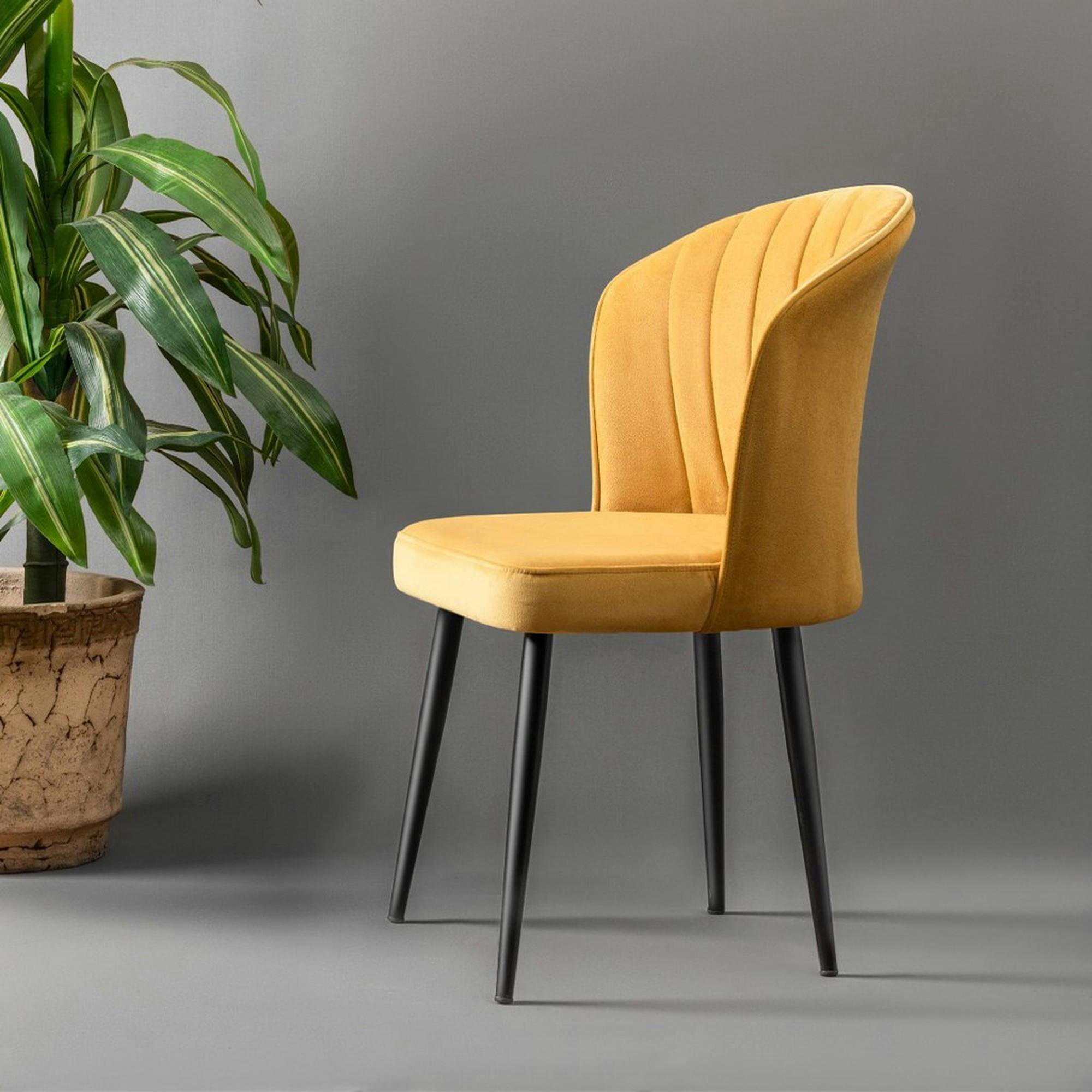 Chaise en velours jaune - dossier enveloppant ROSARIO t de 2)