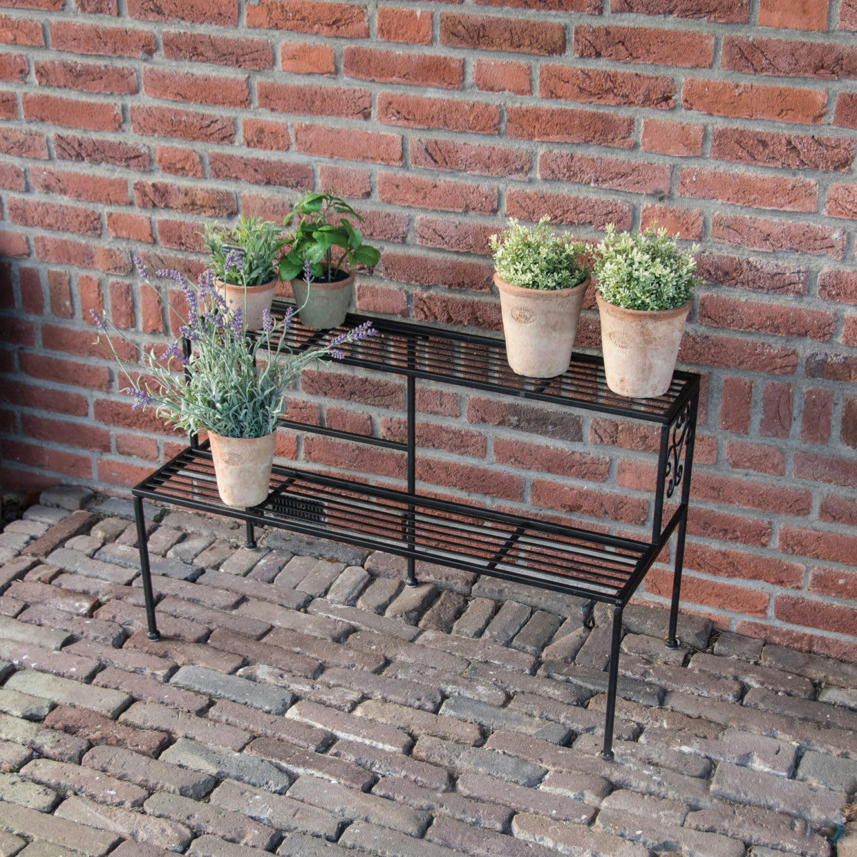 - Etagère à plantes pliante en fer 2 niveaux