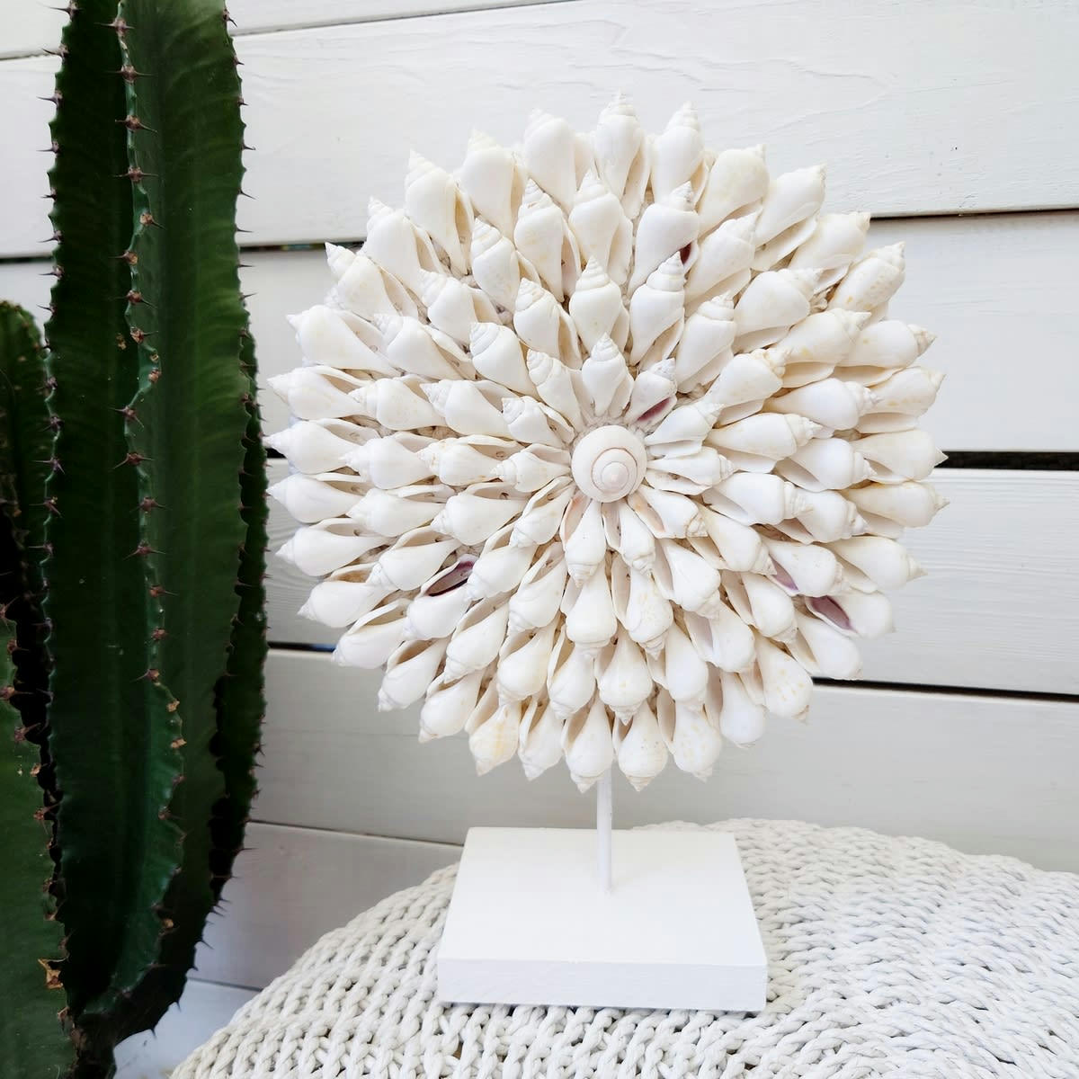 ZARA - Collier décoratif en coquillages, blanc D23 cm