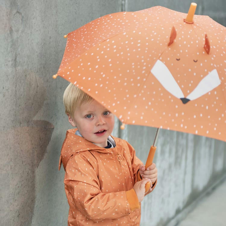 - Parapluie Mr. Fox